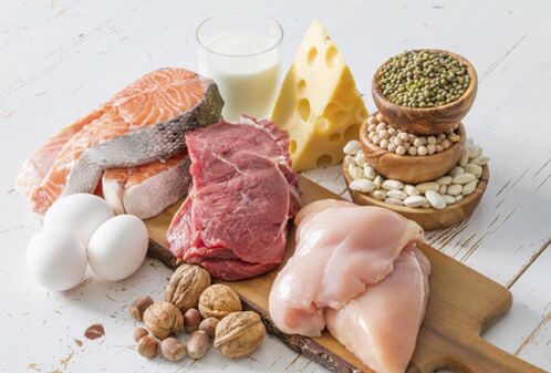 protein ürünleri